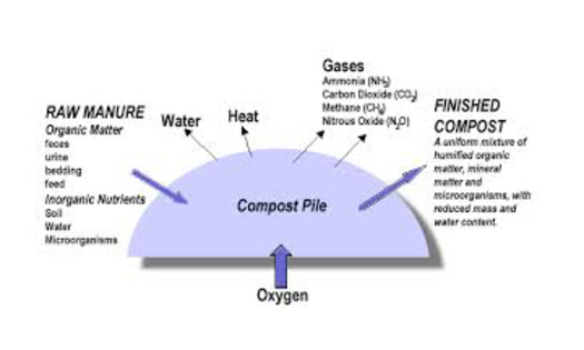Graphic: Composting solid manureCourtesy: www.agriculture.gov.sk.ca