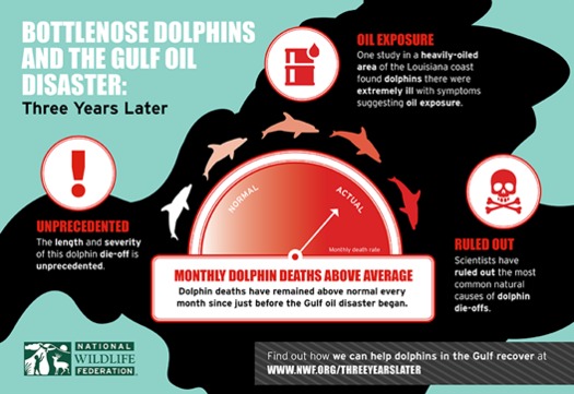 GRAPHIC: This illustration depicts the impact of the Gulf oil spill on dolphins, three years later. Courtesy NWF.