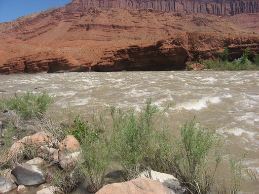 PHOTO: On the 2013 list of America's Most Endangered Rivers, the Colorado River is at the top. The report cites climate change, drought and increasing water demands. CREDIT: MoabAdventurer.