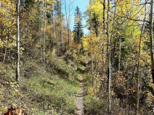 PHOTO: Hermosa Creek Trail near Durango. Courtesy The Wilderness Society.