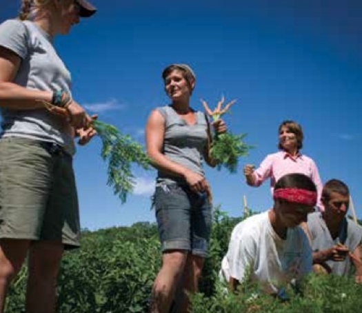 PHOTO: Harvesting carrots at Wolfe's Neck Farm in Freeport. The Maine Coast Heritage Trust's Teen Agriculture Program benefitted from the Quality of Place Initiative. Courtesy Devin Altobello.