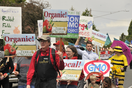 PHOTO: About 90 people in Bellingham marched twice in the same day in support of local, organic foods; and to voice concerns about GMO crops and seeds. Photo credit: Tristan Limpo Photography.  