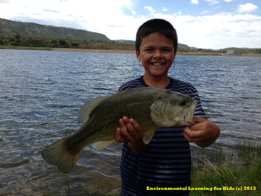 Photo: ELK programs for kids help educate on science, exercise and nutrition. Courtesy: ELK (c) 2013.