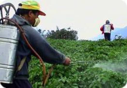 PHOTO: New York farm workers are in Washington DC today, calling on the states congressional delegation for stronger protections from hazardous pesticides they say are harming them and their families. Courtesy Pesticide Action Network.