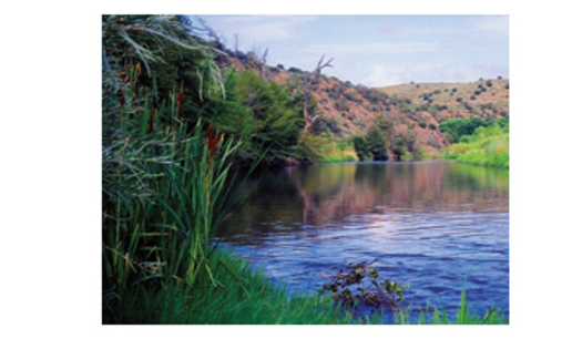 The Gila River is one of the tributaries of the Colorado River.  The Colorado and its  protection was the focus of a special event Thursday in Santa Fe and throughout the Western U. S.Courtesy of: Gila Conservation Coalition