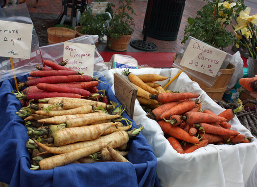 PHOTO: SNAP benefits are allowing Nevada families, hard hit by the recession, to purchase fresh and health fruits and vegetables at local farmers' markets instead of relying on the closest gas station. Photo credit: Deborah C. Smith