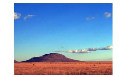 Otero Mesa is one of twelve unique landscapes being heralded by The Wilderness Society as Too Wild to Drill in a report out today.Courtesy: New Mexico Wilderness Alliance