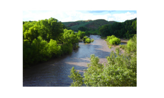 PHOTO: Gila River in summer. The water level of the Gila River, a tributary of the Colorado River, has New Mexicans concerned for the long-term health of the waterway. Courtesy of: Dennis OKeefe