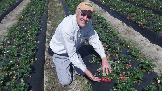 Photo: Vollmer on his farm in Bunn. Courtesy: Vollmer Farms