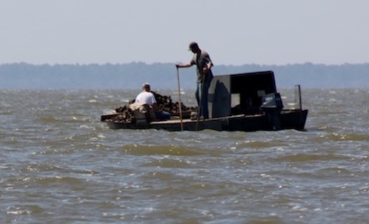 Photo: Oystermen on Apalachicola Bay. Courtesy: Doug Wakeman, Apalachicola Riverkeeper