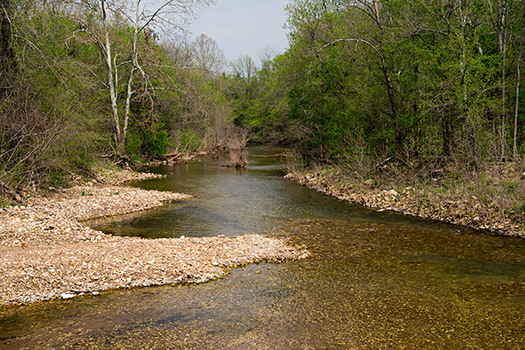 PHOTO: A lawsuit over government subsidies for a huge confined pig operation next to this tributary of the Buffalo River says hog waste run-off could damage the pristine water of a national park that draws a million visitors annually.
