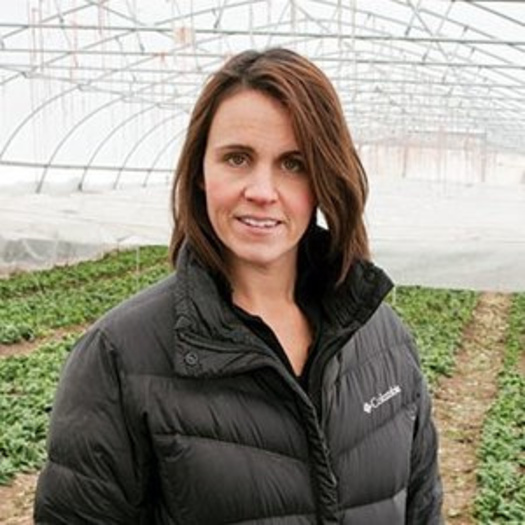 Dr. Erin Silva, an organic production scientist at UW-Madison, will talk about cover-cropping at a research field day sponsored by Michael Fields Agricultural Institute.