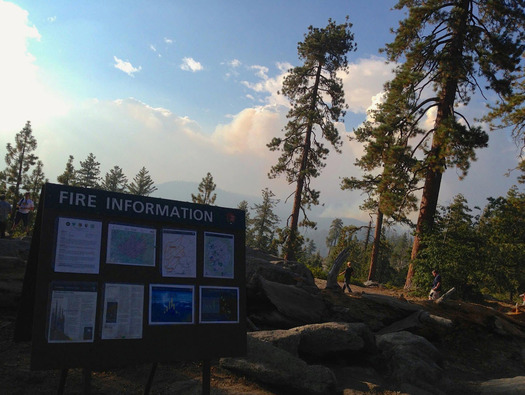 PHOTO: The Rim Fire burning near Yosemite National Park has charred nearly 200,000 acres. Wilderness experts believe intense fires like this have become the new reality because of climate change. Photo  Credit: Beth Pratt