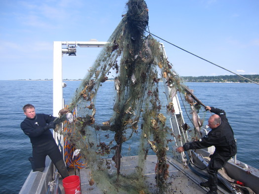 PHOTO: Divers Crayton Fenn and Eric Hazelton with their most recent 