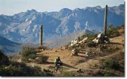 PHOTO: Biking along the Arizona National Scenic Trail, an 820-mile non-motorized trail from Mexico to Utah that is partially managed by the BLM. CREDIT: BLM