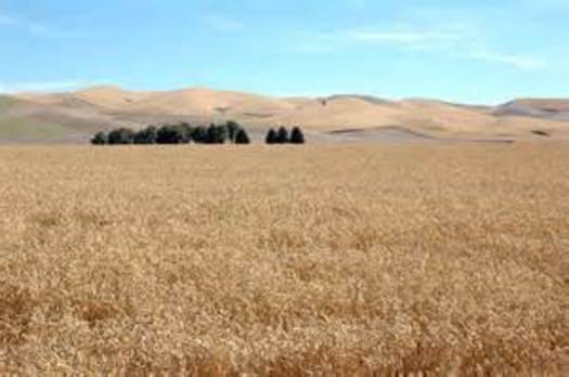 PHOTO: The Utah Farmer's Union calls congressional delay in passing a new Farm Bill 