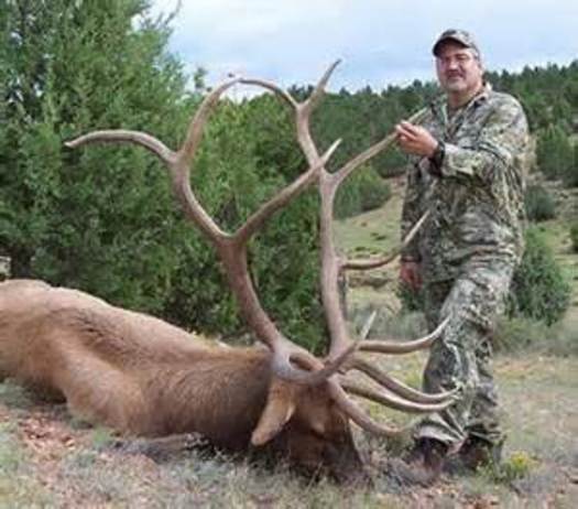 PHOTO: Arizona elk hunters know it takes some work to bag an animal like this one, and being in good physical condition is important before heading out. Photo credit: Arizona Game and Fish