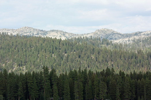 PHOTO: Today, an Idaho legislative interim committee resumes its examination of the possibility that Idaho try to take ownership of federal public lands in the state. There are more than 32 million federally-owned aces within the Gem State's borders. Photo credit: Deborah C. Smith