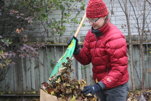 PHOTO: With the chill of fall blanketing Minnesota and winter not far behind, volunteer efforts are under way to help Minnesota's senior citizens with the yard work which many simply can no longer handle themselves. CREDIT: HandyWorks GMCC