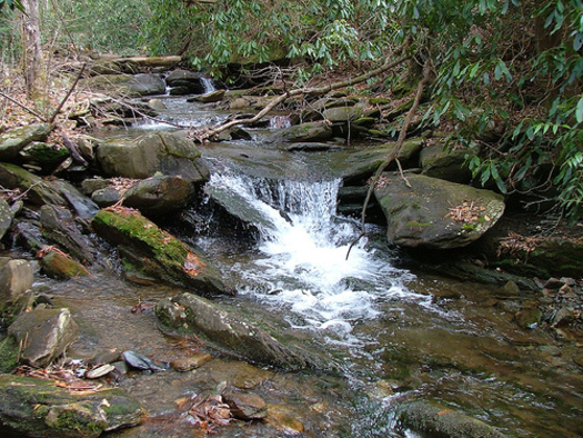 PHOTO: The Tennessee Wilderness Act seeks to permanently protect 20,000 acres of the Cherokee National Forest and add the first new wilderness area in Tennessee in more than a quarter-century. Photo credit: Chris M. Morris