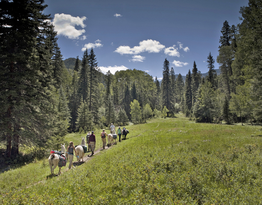 PHOTO: This week, a Congressional subcommittee holds a hearing on a bill to make the popular Columbine-Hondo Wilderness Study Area near Taos a federal wilderness area. Photo courtesy Sierra Club Rio Grande Chapter.