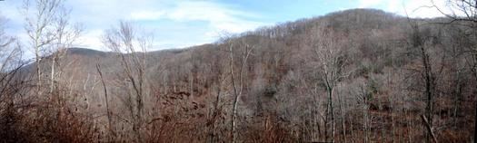 Photo: View of CTNC's newly acquired Humpback Mountain property. Courtesy: CTNC