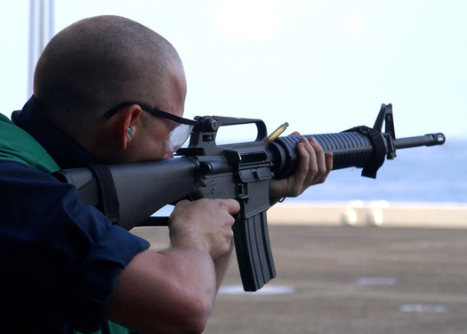 Photo: In the year since the shootings at Sandy Hook Elementary School the state has passed historic legislation reforming gun laws. Photo credit: courtesy wikimedia commons