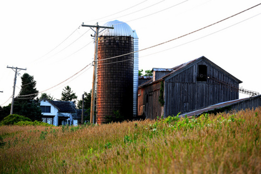 PHOTO: The first annual conference of the Farmer Veteran Coalition of Iowa is set for tomorrow in Des Moines, providing information and help for vets looking for work in agriculture. CREDIT: Jim Larrison