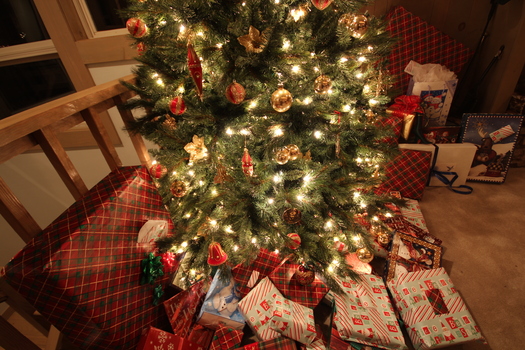 PHOTO: In the rush to get those last few presents to put under the tree, experts say it's critical to make smart, safe purchases to avoid paying a much higher price later. Photo courtesy of freestockphotos.com.