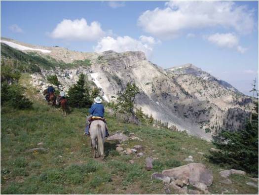 PHOTO:The U.S. Senate floor is the next stop for the Forest Jobs and Recreation Act from Montana Senator Jon Tester. Photo courtesy of USDA