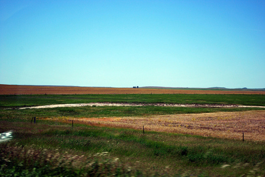 PHOTO: The Conservation Stewardship Program provides incentives for farmers who take certain steps to help with such priorities on their land as water quality and soil health. Photo credit: Bri Weldon.