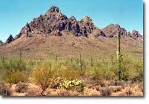 PHOTO: The National Wildlife Federation warns that efforts to sell off public lands in the West could hurt tourism and jobs, in Arizona and other states. Photo courtesy BLM.