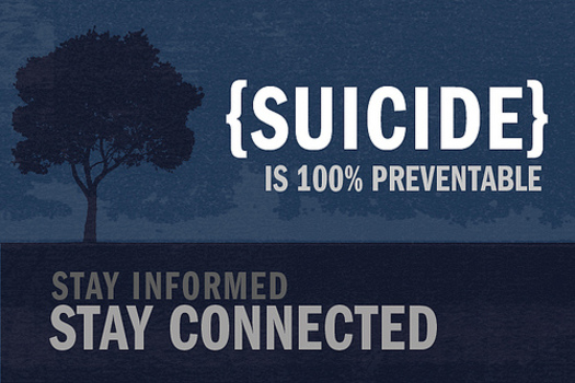 PHOTO: In Minnesota, there are nearly 700 people who take their own lives annually, about half with firearms. CREDIT: MilitaryHealth