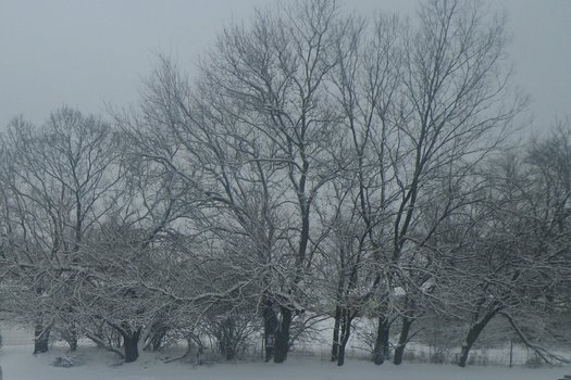 PHOTO: Despite the cold snap, an expert says global warming is real. Photo credit: M. Kuhlman