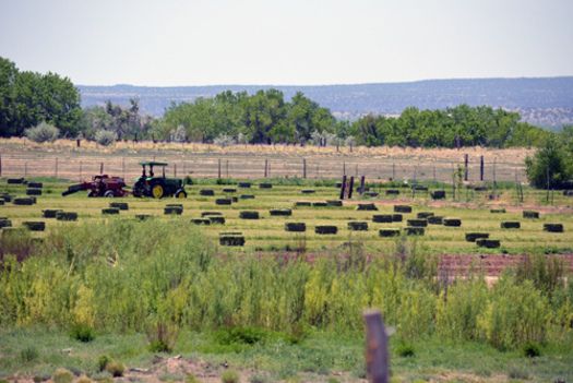 PHOTO: TBoth the U-S House and Senate are back to work, and the Farm Bill is tops on the 