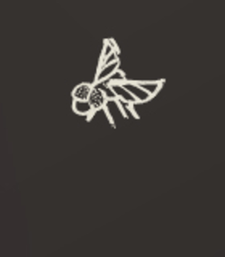 GRAPHIC: This image of a fly represents the Wisconsin Department of Justice program called 