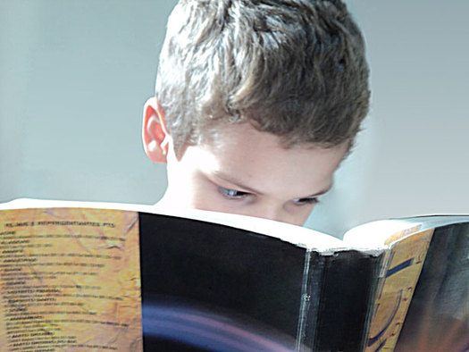PHOTO: A new study finds more than 7-in-10 of Arizona 4th-graders are reading below grade level, and the reading gap between high- and low-income students is growing. CREDIT: publicdomainpictures.net