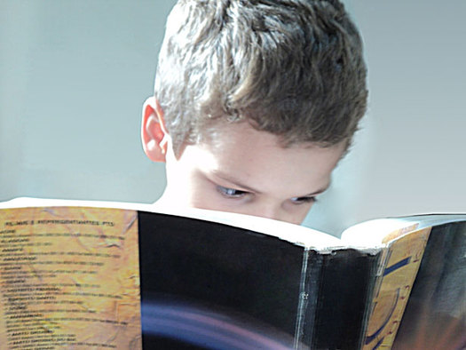 PHOTO: A new study finds the majority of New Hampshire fourth-graders are reading below grade level, and the reading gap between high- and low-income students is growing. Photo credit: publicdomainpictures.net