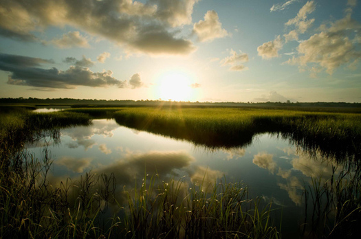 Photo: Sunrise illuminates the marsh around Preacher Hole, a popular fishing spot along the Caber Coastal Connector. Courtesy: Eric Zamora, Legacy Institute for Nature and Culture