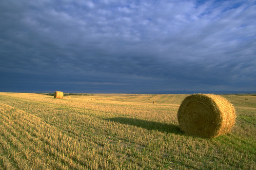 PHOTO: A compromise on the Farm Bill reached this week includes funding for programs that support rural development, jobs and farm income. Photo courtesy Bureau of Land Management.