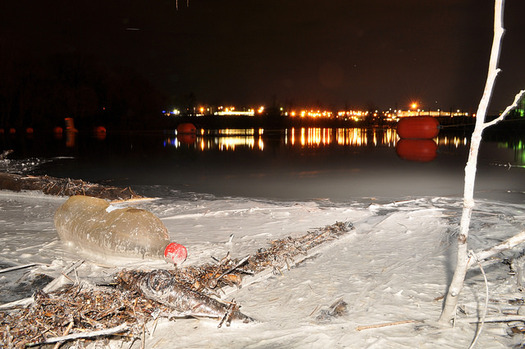 PHOTO: Ashen remnants along the Dan River after the Eden Plant coal ash discharge. Courtesy: Appalachian Voices