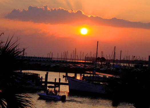 PHOTO: The Net Ban Amendment was put in place in 1994 to stop the use of entangling nets and large small-mesh nets to capture entire schools of fish. Image by Lisa M. Collard