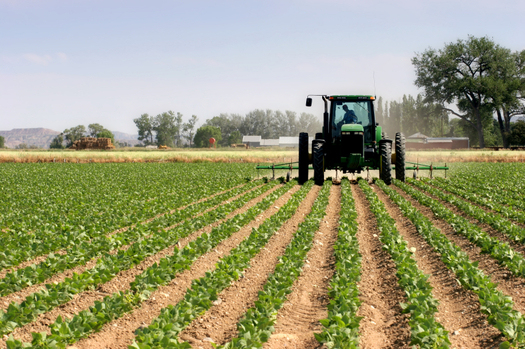 PHOTO: Oregon lawmakers are being asked to reinstate a crop-donation tax credit for farmers who grow extra produce for food banks and other nonprofit hunger-fighting groups. Photo credit: iStockphoto.com. 