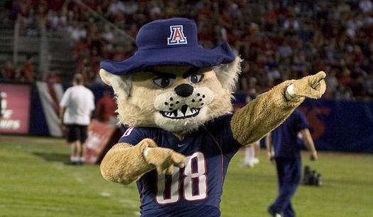 PHOTO: From the Arizona Wildcats to New Mexico's Lobos, mascots are the faces of colleges and universities across the Southwest. A new report from the National Wildlife Federation shows how some of the real-life inspirations for these school spirit-builders may be at risk. Photo courtesy of University of Arizona.