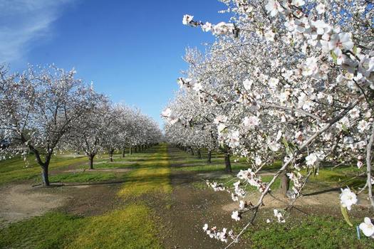 PHOTO: Counties in the San Joaquin Valley again rank as some of the unhealthiest in the state according to the fifth annual County Health Rankings report by the Robert Wood Foundation and the University of Wisconsin. Photo credit: Kern County Farm Bureau.