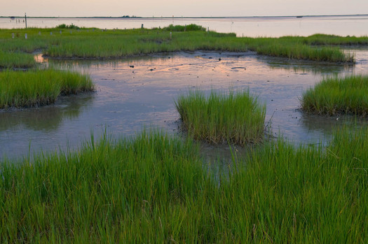 PHOTO: The EPA is proposing a rule to close loopholes in the Clean Water Act that some estimates say leave 60 percent of Ohio’s streams and millions of acres of wetlands at risk of unchecked pollution and development. Photo credit: Ohio EPA.