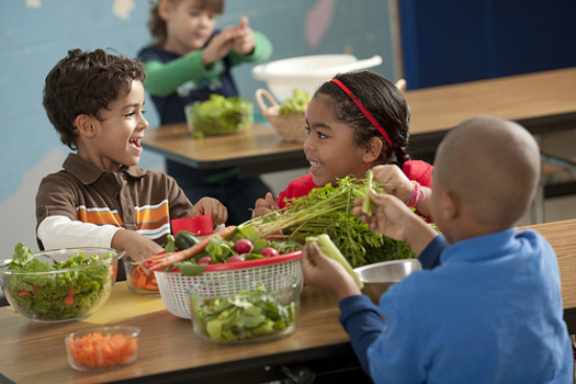 PHOTO: A new scorecard on the progress of children in Tennessee shows the need to create more opportunity for kids of color as the state becomes more diverse. Photo credit: USDA.