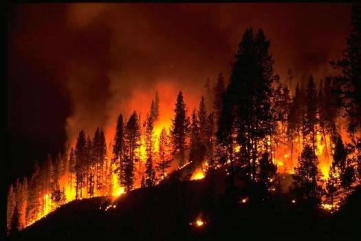 PHOTO: The state of New Mexico hopes a public education campaign this week helps limit the number of wildfires as fire season ramps up. Photo courtesy USDA.