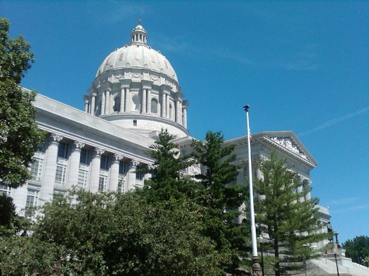 PHOTO: Several women's organizations, including Planned Parenthood Advocates, the National Council of Jewish Women, NARAL Pro-Choice Missouri and ACLU Missouri will rally at the Capitol on Tuesday to protest what they call attacks on women's rights. Photo credit: R. Smith.