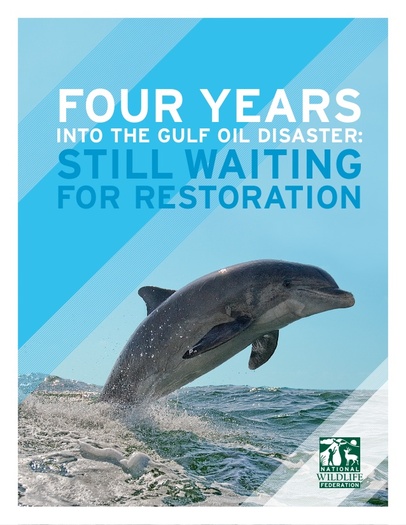 Photo: NWF report highlights the continued damage to 14 species living in the Gulf of Mexico from the 2010 Deepwater Horizon spill. Graphic courtesy National Wildlife Federation.